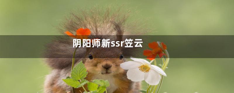 阴阳师新ssr笠云