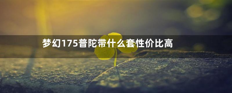 梦幻175普陀带什么套性价比高