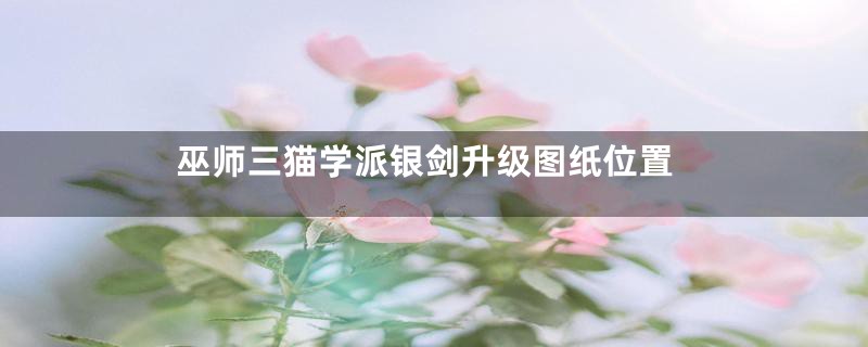 巫师三猫学派银剑升级图纸位置