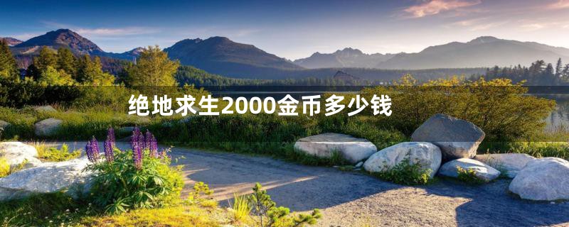 绝地求生2000金币多少钱