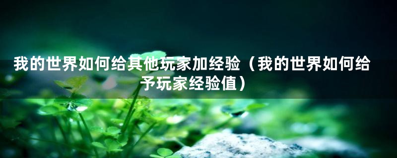 我的世界如何给其他玩家加经验（我的世界如何给予玩家经验值）