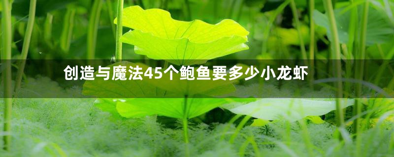 创造与魔法45个鲍鱼要多少小龙虾