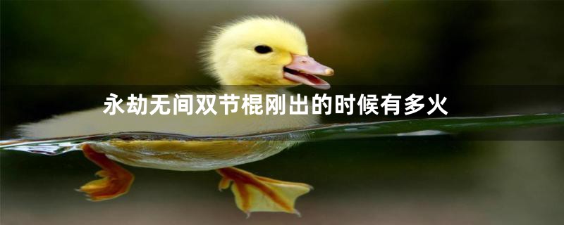 永劫无间双节棍刚出的时候有多火