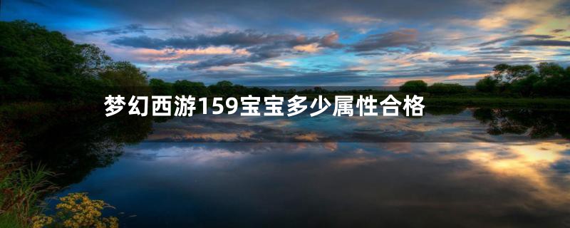 梦幻西游159宝宝多少属性合格