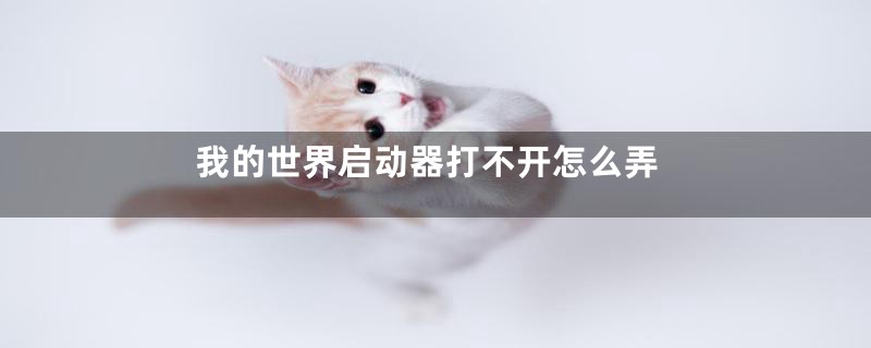 我的世界启动器打不开怎么弄