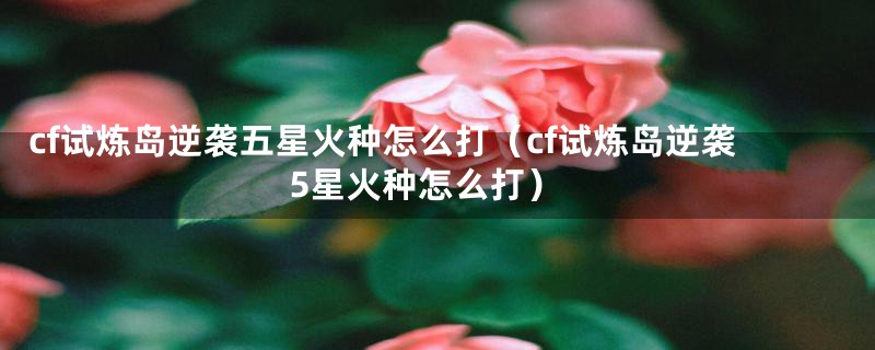 cf试炼岛逆袭五星火种怎么打（cf试炼岛逆袭5星火种怎么打）