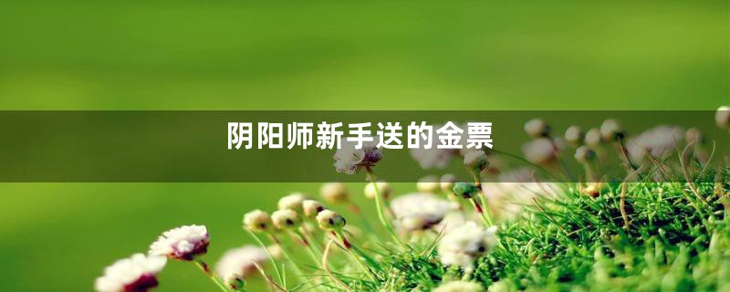 阴阳师新手送的金票