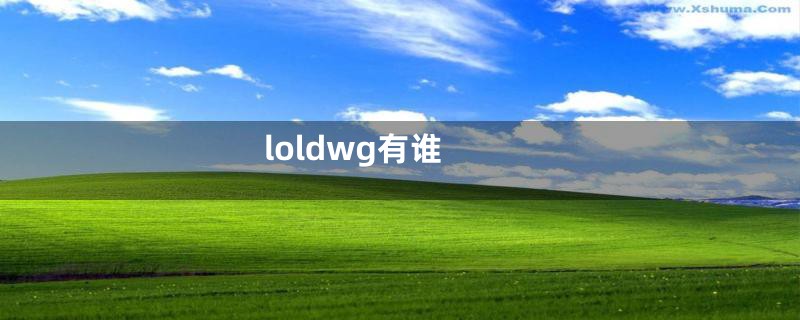 loldwg有谁