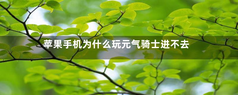 苹果手机为什么玩元气骑士进不去