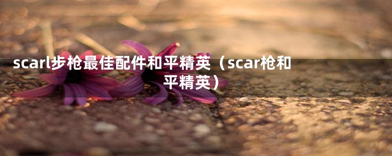 scarl步枪最佳配件和平精英（scar枪和平精英）