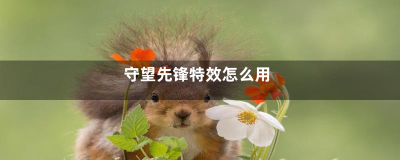 守望先锋特效怎么用