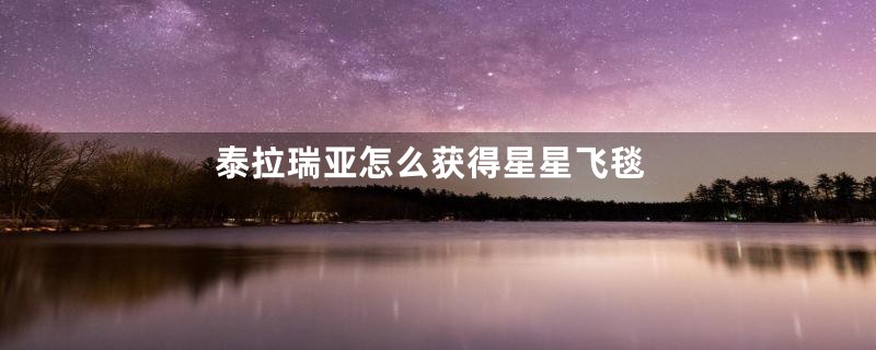 泰拉瑞亚怎么获得星星飞毯