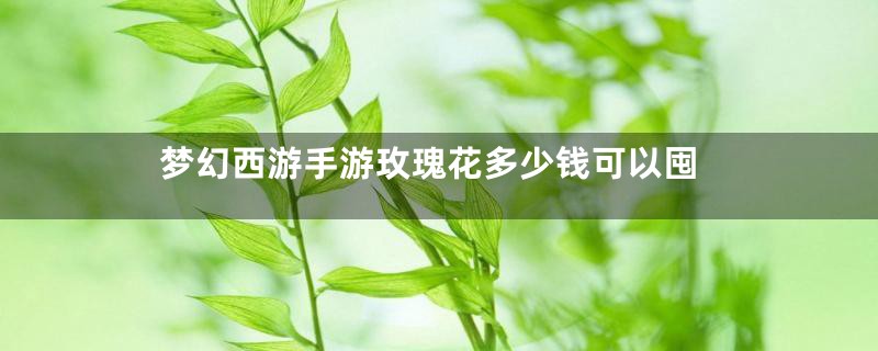 梦幻西游手游玫瑰花多少钱可以囤