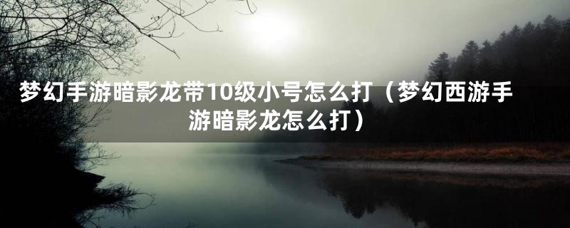 梦幻手游暗影龙带10级小号怎么打（梦幻西游手游暗影龙怎么打）