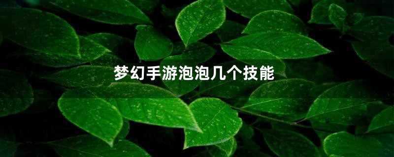 梦幻手游泡泡几个技能