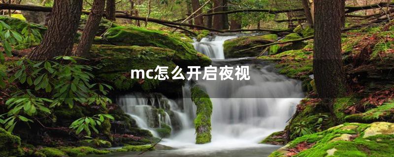 mc怎么开启夜视