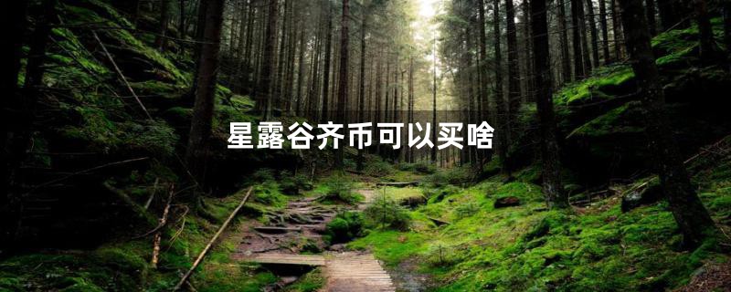 星露谷齐币可以买啥