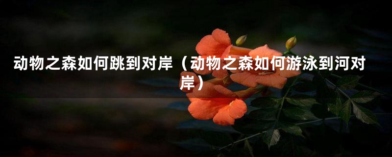 动物之森如何跳到对岸（动物之森如何游泳到河对岸）