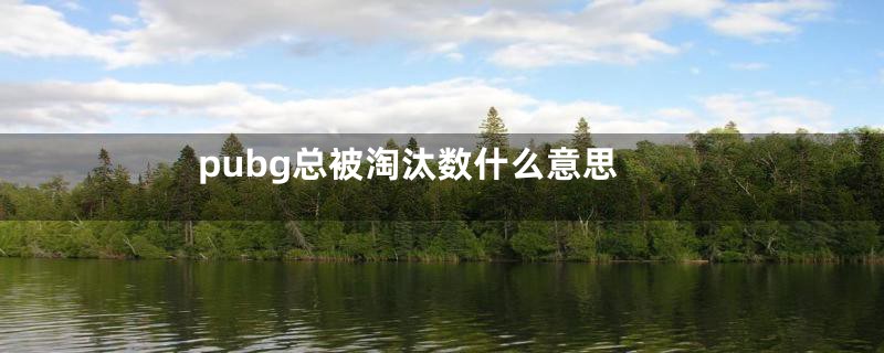 pubg总被淘汰数什么意思