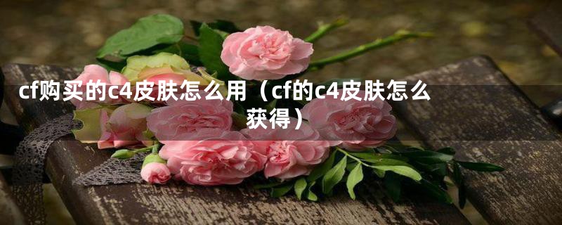 cf购买的c4皮肤怎么用（cf的c4皮肤怎么获得）