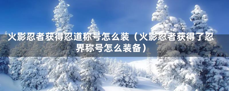 火影忍者获得忍道称号怎么装（火影忍者获得了忍界称号怎么装备）