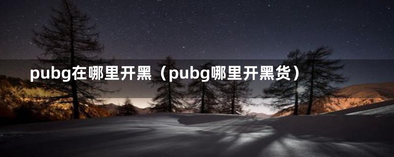 pubg在哪里开黑（pubg哪里开黑货）