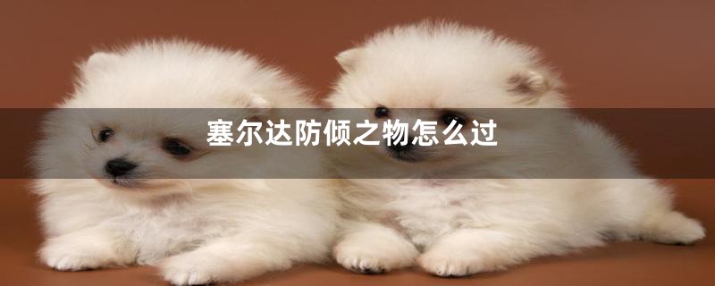 塞尔达防倾之物怎么过