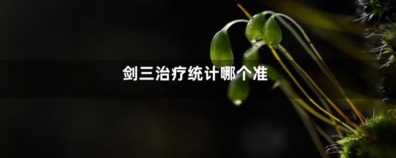 剑三治疗统计哪个准