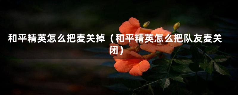 和平精英怎么把麦关掉（和平精英怎么把队友麦关闭）