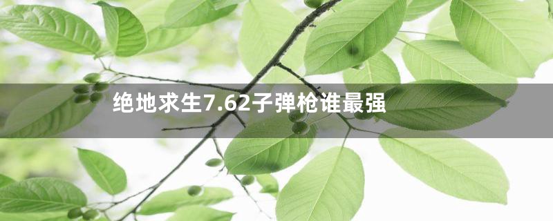 绝地求生7.62子弹枪谁最强