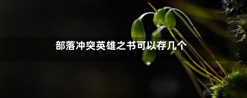 部落冲突英雄之书可以存几个