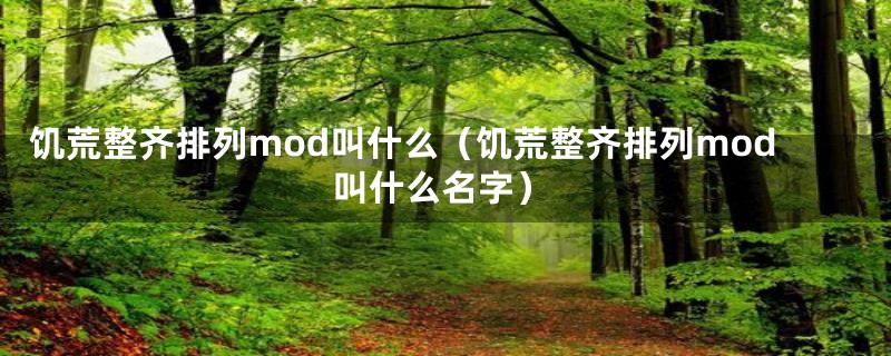 饥荒整齐排列mod叫什么（饥荒整齐排列mod叫什么名字）