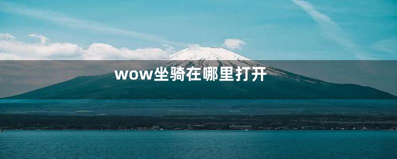 wow坐骑在哪里打开