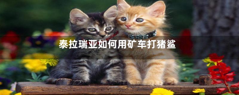 泰拉瑞亚如何用矿车打猪鲨