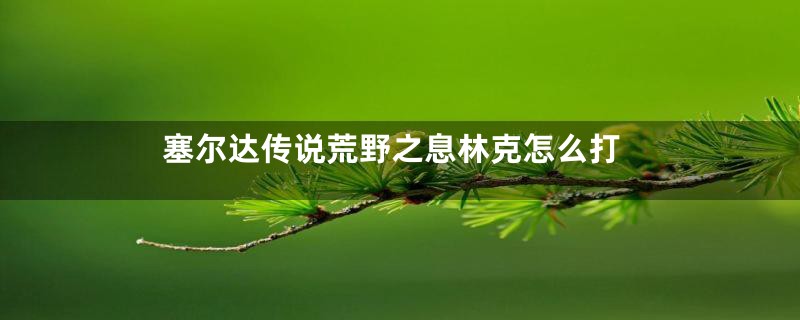 塞尔达传说荒野之息林克怎么打