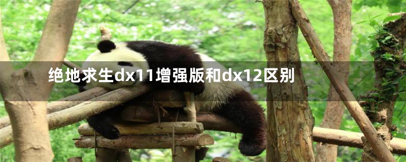 绝地求生dx11增强版和dx12区别