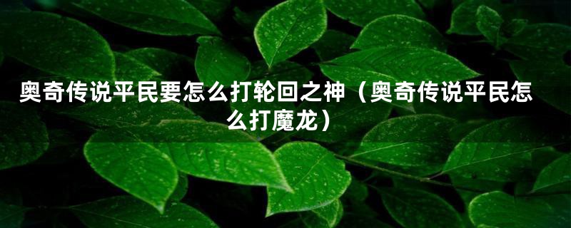 奥奇传说平民要怎么打轮回之神（奥奇传说平民怎么打魔龙）