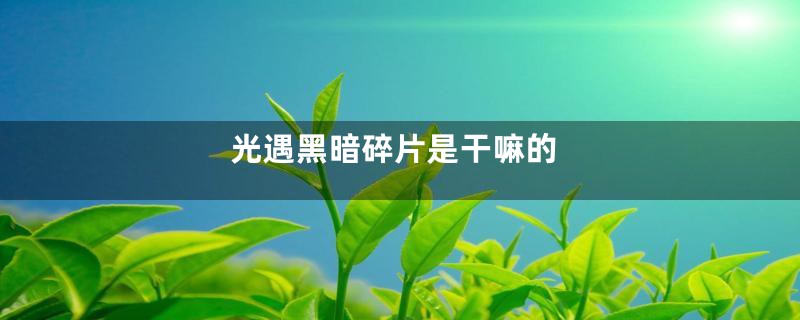 光遇黑暗碎片是干嘛的