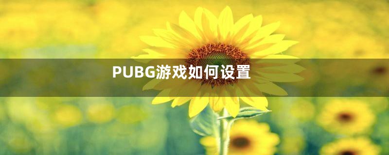 PUBG游戏如何设置