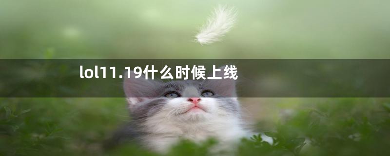 lol11.19什么时候上线