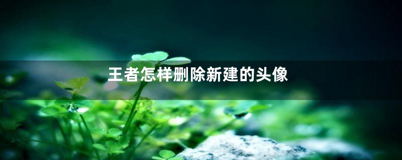 王者怎样删除新建的头像