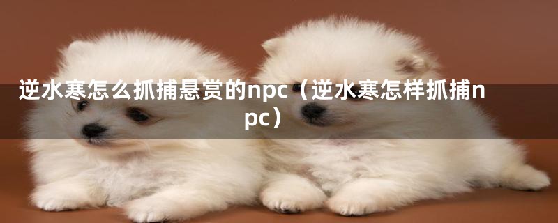 逆水寒怎么抓捕悬赏的npc（逆水寒怎样抓捕npc）