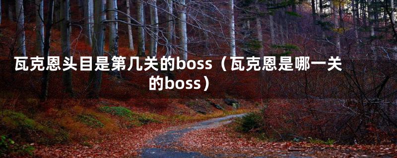 瓦克恩头目是第几关的boss（瓦克恩是哪一关的boss）