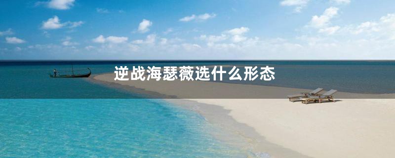 逆战海瑟薇选什么形态