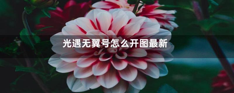 光遇无翼号怎么开图最新