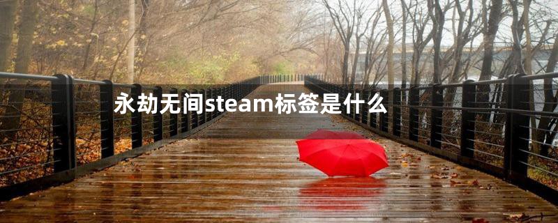 永劫无间steam标签是什么