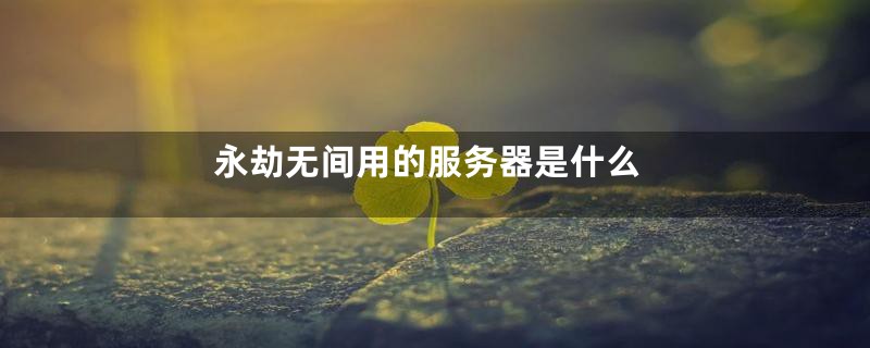 永劫无间用的服务器是什么