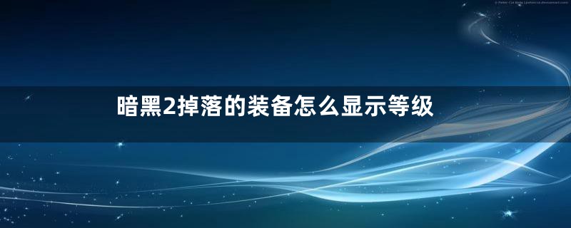 暗黑2掉落的装备怎么显示等级