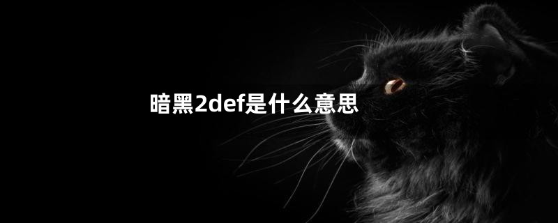 暗黑2def是什么意思