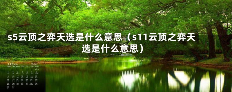 s5云顶之弈天选是什么意思（s11云顶之弈天选是什么意思）